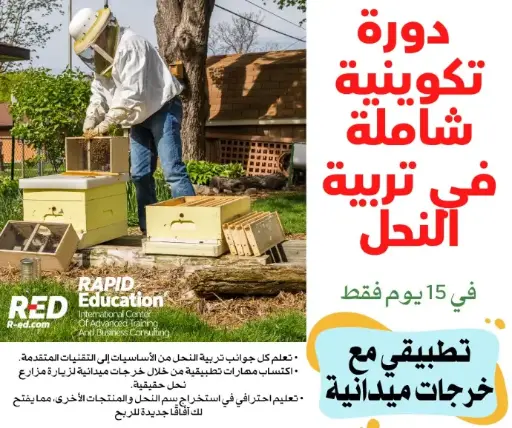 Beekeeping Course - learn the basics like a pro!