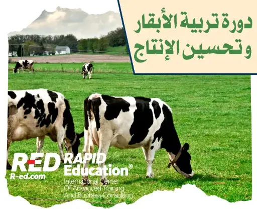 A training course in cattle breeding
