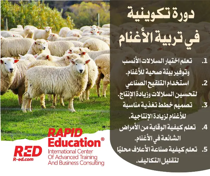 Sheep Farming Training Course