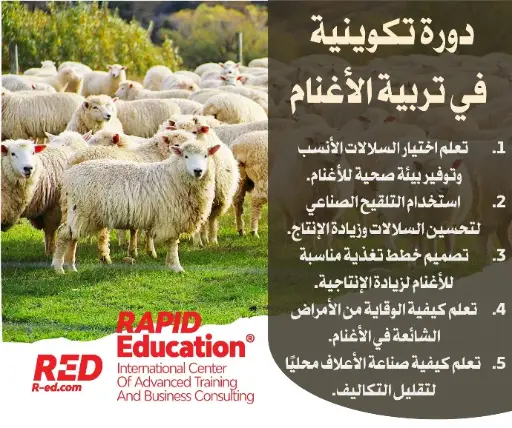 Sheep Farming Training Course