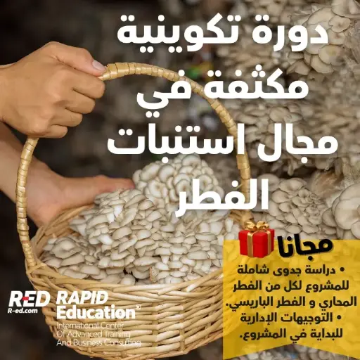 Mushroom Production